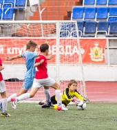 6a9fff337e7868baa5effc260d4a60d2